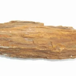 Steinholz Unterschiedliche Farb- Und Form-Spektren Per 1kg