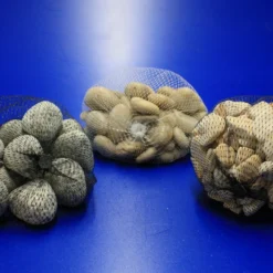 River Pebbles - Unterschiedliche Farb- Und Form-Spektren - Im 0,75 Kg Netz