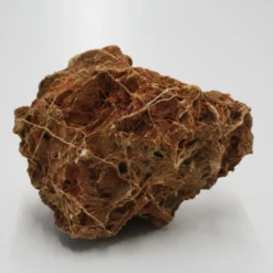 Versteinertes Laub Unterschiedliche Farb- Und Form-Spektren Per 1kg