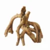 Dekor Wurzel - Mangrove - 17 X 11,5 X 14 Cm -Hobby Verkäufe 107638Ep 1
