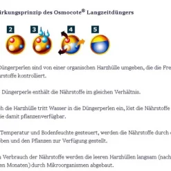 10x Düngerkegel Für Seerosen / Osmocote® Seerosen-Dünger