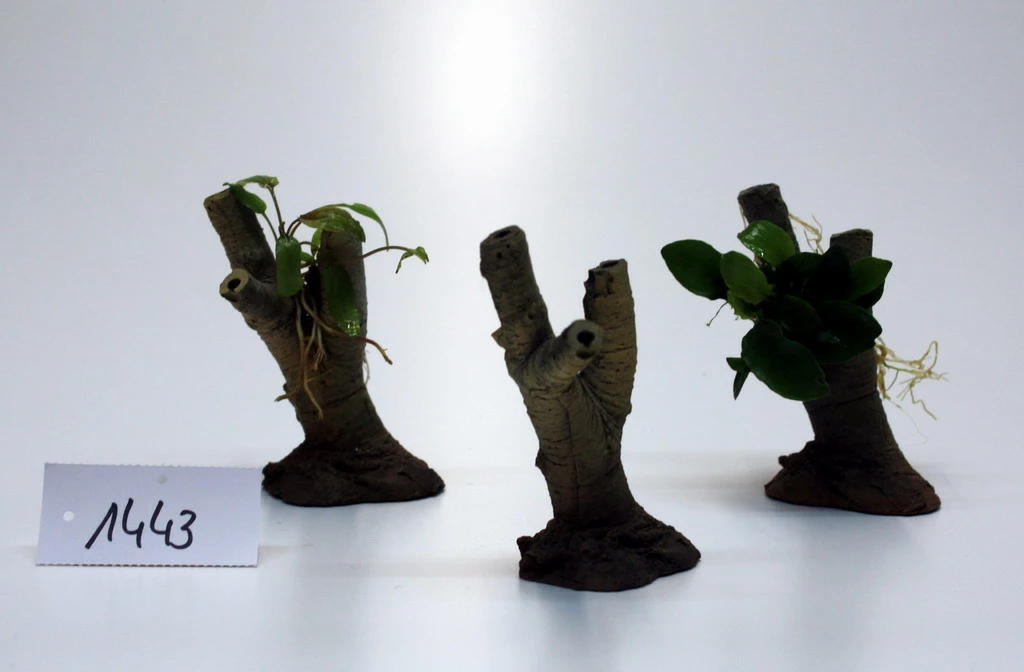 Baum3 - Höhe 10 Cm, Aquarium-Dekoration Aus Mineralguss 3 Baum3 - Höhe 10 Cm, Aquarium-Dekoration Aus Mineralguss