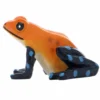 Hobby The Frog 2 - 5 X 3,5 X 5 Cm 1 Hobby The Frog 2 - 5 X 3,5 X 5 Cm -Hobby Verkäufe 36357HO 1 2