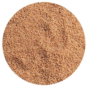 Flamingo Aquarienkies Caviar 10 Kg Beutel - Kugelrunde Körner 2-3 Mm 3 Flamingo Aquarienkies Caviar 10 Kg Beutel - Kugelrunde Körner 2-3 Mm