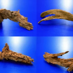 Mangroven-Wurzel Gr. M / 20 - 30 Cm Mangrovenholz