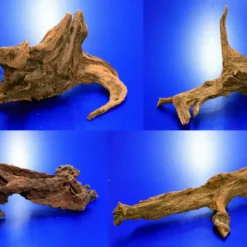 Mangroven-Wurzel Gr. L / 30 - 40 Cm Mangrovenholz