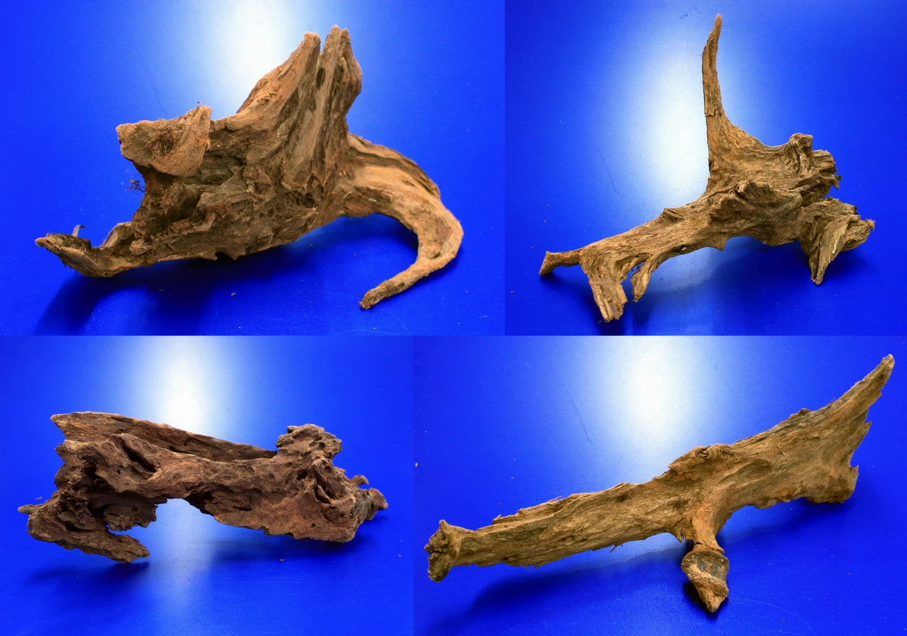 Mangroven-Wurzel Gr. L / 30 - 40 Cm Mangrovenholz 3 Mangroven-Wurzel Gr. L / 30 - 40 Cm Mangrovenholz