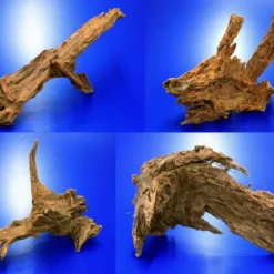 Mangroven-Wurzel Gr. XL / 40 - 50 Cm Mangrovenholz