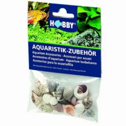Hobby Sea Shell Set S - 20 Stk. - Natürliche Schneckenhäuser
