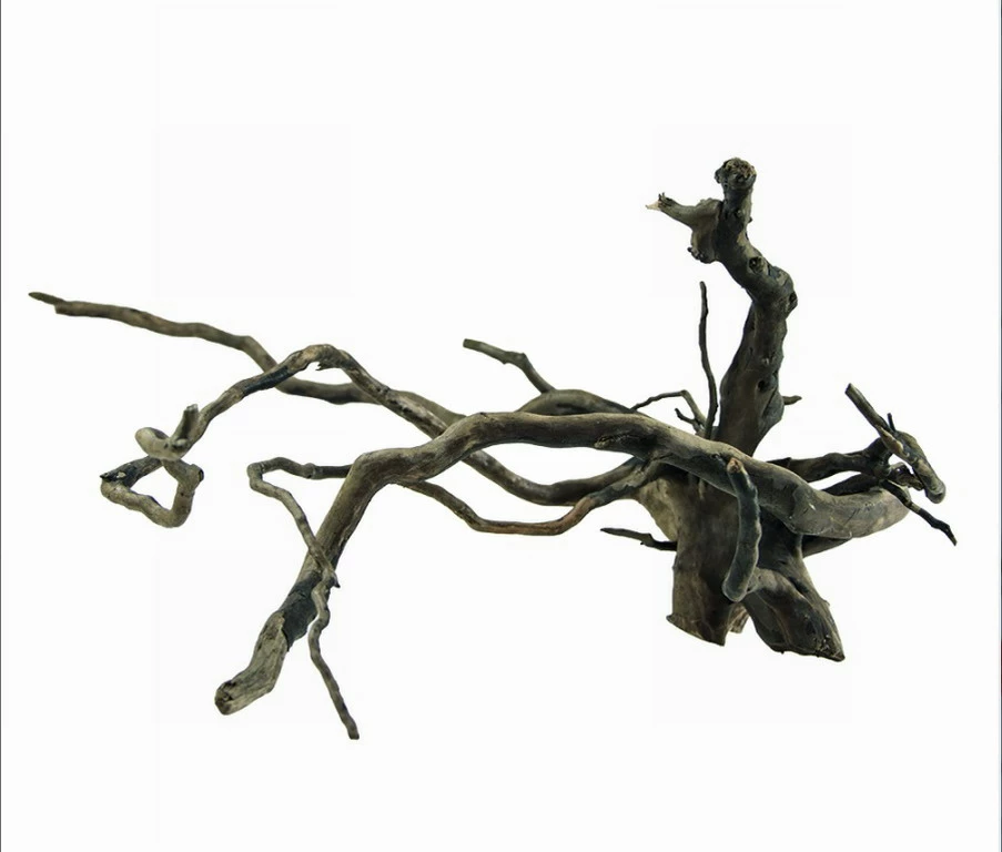 Hobby Dunkle Moorwurzel/Moorkienholz, Gr. L Traumwurzel 40-60cm 3 Hobby Dunkle Moorwurzel/Moorkienholz, Gr. L Traumwurzel 40-60cm