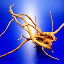 Moorwurzel/Moorkienholz, Gr. S Traumwurzel 20-30cm -Hobby Verkäufe 4080070AD 1 8