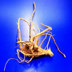 Moorwurzel/Moorkienholz, Gr. M Traumwurzel 30-40cm -Hobby Verkäufe 4080075AD 1 8