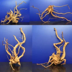 Moorwurzel/Moorkienholz, Gr. L Traumwurzel 40-50cm