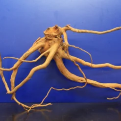 Moorwurzel/Moorkienholz, Gr. L Traumwurzel 40-50cm -Hobby Verkäufe 4080080AD 1 4