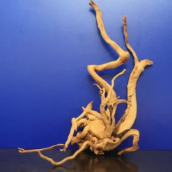 Moorwurzel/Moorkienholz, Gr. L Traumwurzel 40-50cm -Hobby Verkäufe 4080080AD 1 6