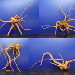 Moorwurzel/Moorkienholz, Gr. XL Traumwurzel 50-60cm