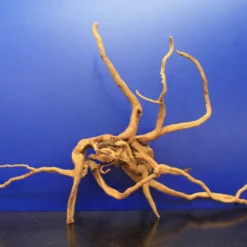 Moorwurzel/Moorkienholz, Gr. XL Traumwurzel 50-60cm -Hobby Verkäufe 4080085AD 1 4