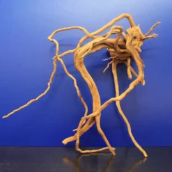 Moorwurzel/Moorkienholz, Gr. XL Traumwurzel 50-60cm -Hobby Verkäufe 4080085AD 1 6