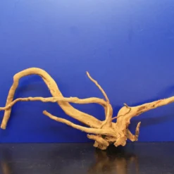 Moorwurzel/Moorkienholz, Gr. XL Traumwurzel 50-60cm -Hobby Verkäufe 4080085AD 1 8