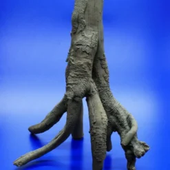 Hobby Detaillierte Stelz-Wurzel Nr. 2, 390x370x280mm Aus Dunklem Kunststoff -Hobby Verkäufe 41476Ho 1 2