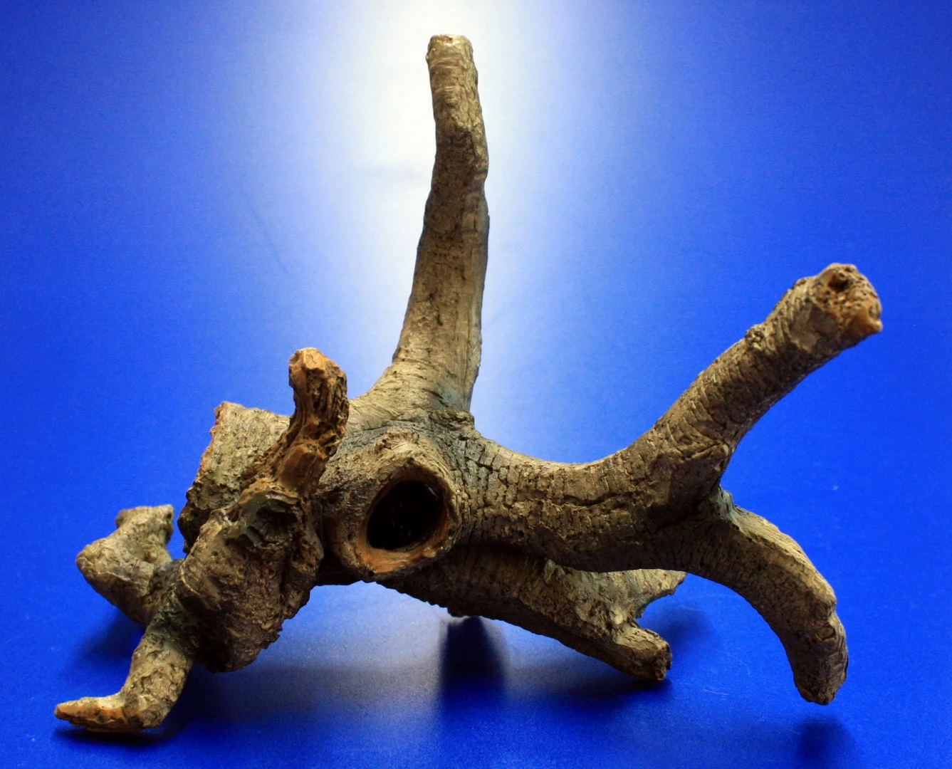 Hobby Urwaldbaum Mit Höhle / Regenwaldbaum Ca. 21x18x14cm, Mit Vielen Kleinen Details 3 Hobby Urwaldbaum Mit Höhle / Regenwaldbaum Ca. 21x18x14cm, Mit Vielen Kleinen Details