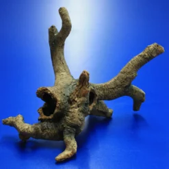 Hobby Urwaldbaum Mit Höhle / Regenwaldbaum Ca. 21x18x14cm, Mit Vielen Kleinen Details 7 Hobby Urwaldbaum Mit Höhle / Regenwaldbaum Ca. 21x18x14cm, Mit Vielen Kleinen Details -Hobby Verkäufe 41550HO 1 4