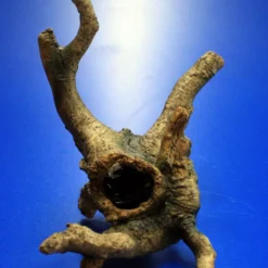 Hobby Urwaldbaum Mit Höhle / Regenwaldbaum Ca. 21x18x14cm, Mit Vielen Kleinen Details 8 Hobby Urwaldbaum Mit Höhle / Regenwaldbaum Ca. 21x18x14cm, Mit Vielen Kleinen Details -Hobby Verkäufe 41550HO 1 6