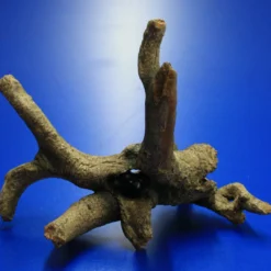 Hobby Urwaldbaum Mit Höhle / Regenwaldbaum Ca. 21x18x14cm, Mit Vielen Kleinen Details 9 Hobby Urwaldbaum Mit Höhle / Regenwaldbaum Ca. 21x18x14cm, Mit Vielen Kleinen Details -Hobby Verkäufe 41550HO 1 8