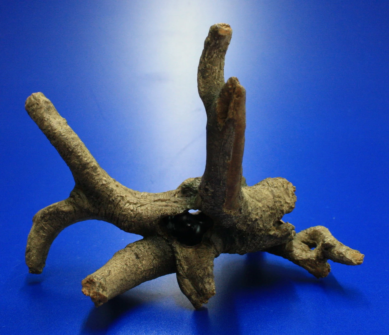 Hobby Urwaldbaum Mit Höhle / Regenwaldbaum Ca. 21x18x14cm, Mit Vielen Kleinen Details 6 Hobby Urwaldbaum Mit Höhle / Regenwaldbaum Ca. 21x18x14cm, Mit Vielen Kleinen Details – Bild 4