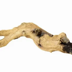 Aqua Della Mopani Wood 3