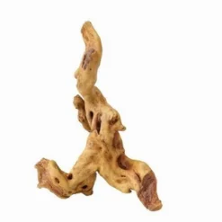 Aqua Della Coffee Root 4