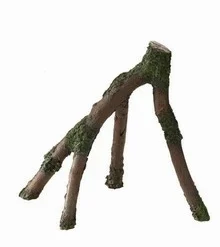 Aqua Della Mangrove Wood M