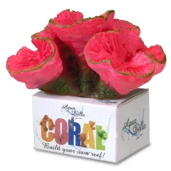 Hirnkoralle, Open Brain Coral M, Ca. 11 X 9 X 8 Cm