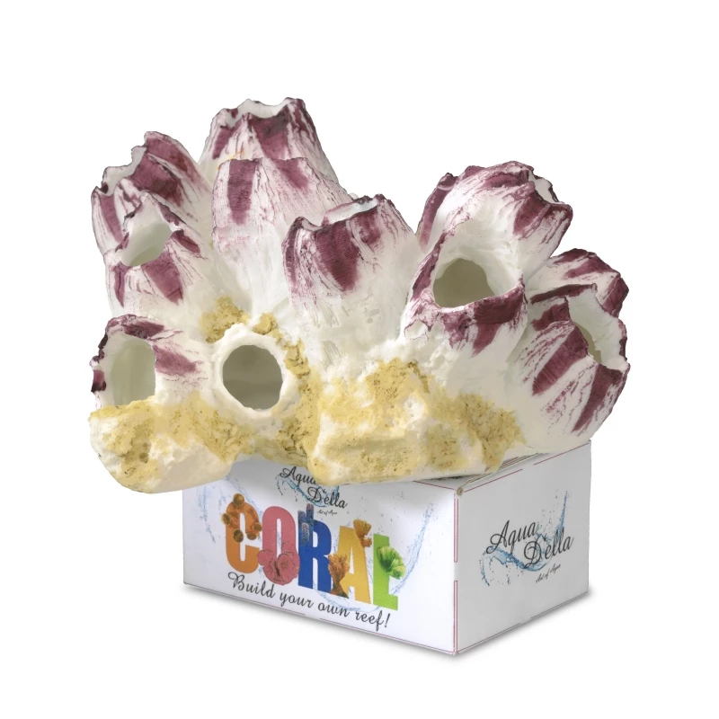 Seepocke, Muschel Barnacle, Ca. 13,5 X 12,5 X 9,5 Cm 3 Seepocke, Muschel Barnacle, Ca. 13,5 X 12,5 X 9,5 Cm