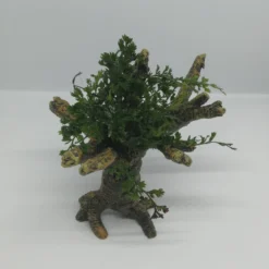 Mini Bolbitis-Bäumchen Mit Baumkrone / Urwaldbaum NANO Mit Bolbitis (heteroclita) Difformis