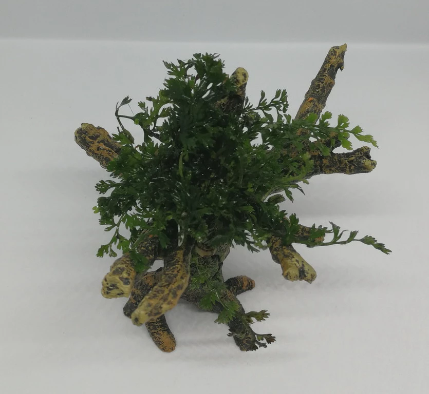 Mini Bolbitis-Bäumchen Mit Baumkrone / Urwaldbaum NANO Mit Bolbitis (heteroclita) Difformis 4 Mini Bolbitis-Bäumchen Mit Baumkrone / Urwaldbaum NANO Mit Bolbitis (heteroclita) Difformis – Bild 2