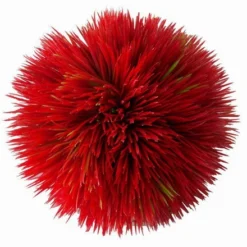 Plant Ball - Red - Ca.11 X 11 X 11 Cm