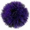 Plant Ball - Blue - Ca.11 X 11 X 11 Cm -Hobby Verkäufe 430019Ep 1
