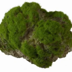 Moss Stone - L - Ca. 17 X 11 X 13,5 Cm - Mit Saugnapf