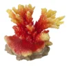 Orange Acropora Koralle, Steinkoralle Ca. 11,5 X 8,5 X 9,5 Cm -Hobby Verkäufe 431375Ep 1 2