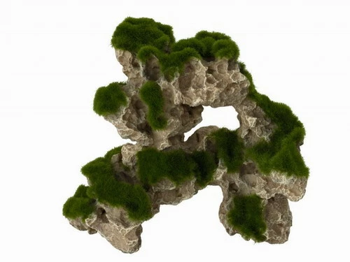 Moss Rock 1 - Ca. 26 X 13,5 X 24,5 Cm 3 Moss Rock 1 - Ca. 26 X 13,5 X 24,5 Cm