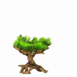 Flora Scape 11 - M - Ca. 22x19x23,5 Cm