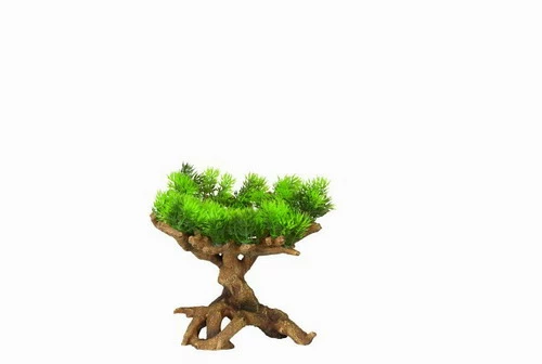 Flora Scape 11 - M - Ca. 22x19x23,5 Cm 3 Flora Scape 11 - M - Ca. 22x19x23,5 Cm