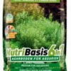 4,8 Kg DENNERLE NutriBasis 6in1 - Langzeit-Nährboden Für Aquarien Bis 140 Liter 2 4,8 Kg DENNERLE NutriBasis 6in1 - Langzeit-Nährboden Für Aquarien Bis 140 Liter -Hobby Verkäufe 4586DE 1 1