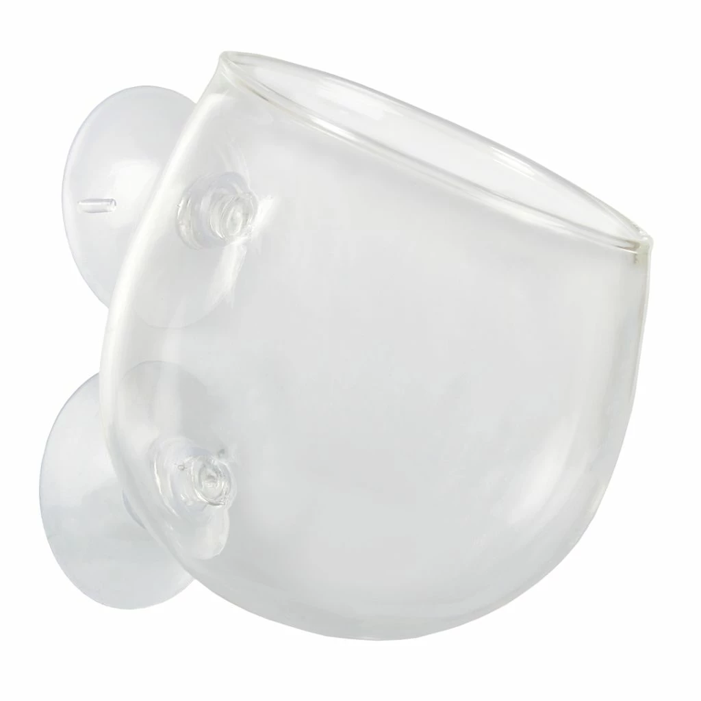 Pflanzenschale Aus Kristallklarem Glas 4 Pflanzenschale Aus Kristallklarem Glas – Bild 2