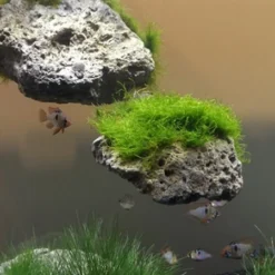 Schwebende Steine Größe: L / Floating Stone 25-30cm