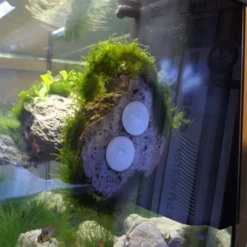 Rückwand Stein Größe: S / Wall Stone 10-17cm