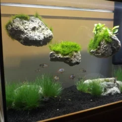 Rückwand Stein Größe: M / Wall Stone 18-24cm 5 Rückwand Stein Größe: M / Wall Stone 18-24cm -Hobby Verkäufe 59273HS 1 3 1