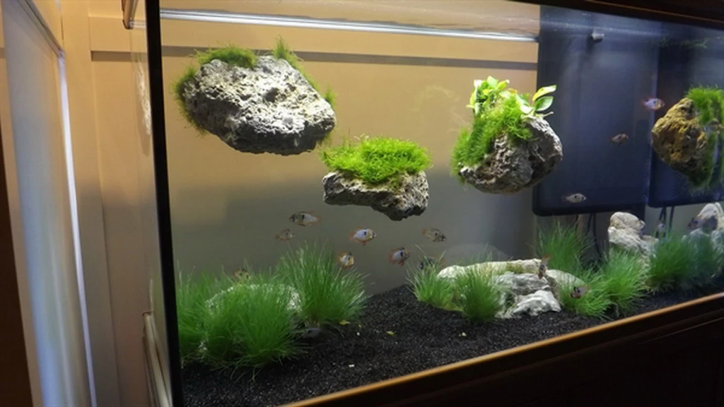 Rückwand Stein Größe: M / Wall Stone 18-24cm 4 Rückwand Stein Größe: M / Wall Stone 18-24cm – Bild 2