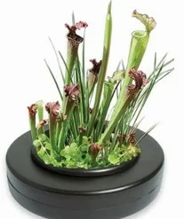 Schwimmende Pflanzschale - Pflanzkorb Ca. ø 23 Cm, Schwarz